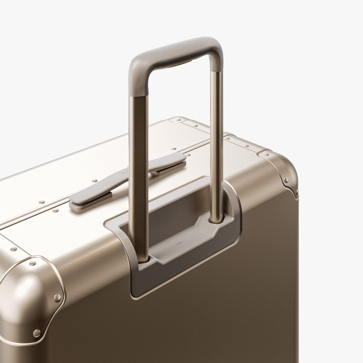 Aluminum Check-In Large